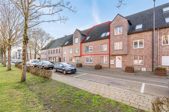 Appartement in Tessenderlo-ham