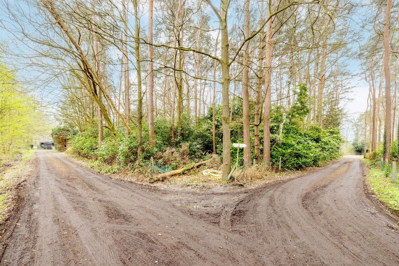 Hoofdfoto Huis in Herselt