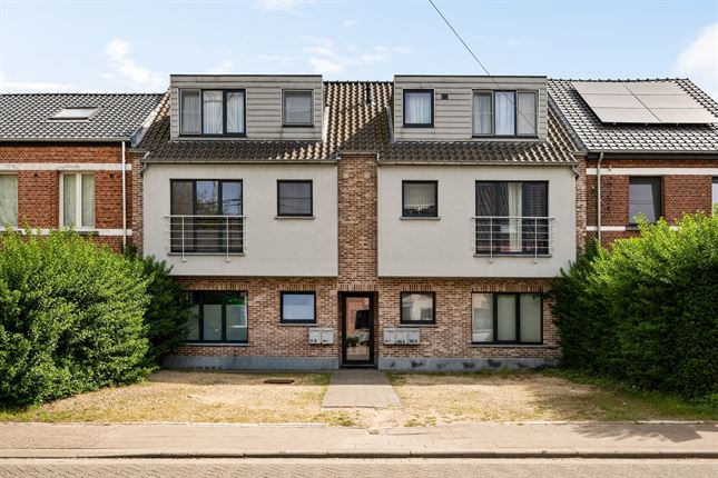 Appartement in Olen