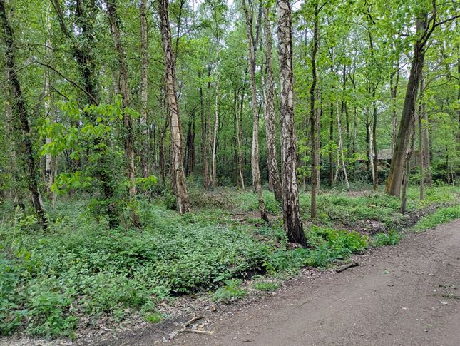 Grond in Essen