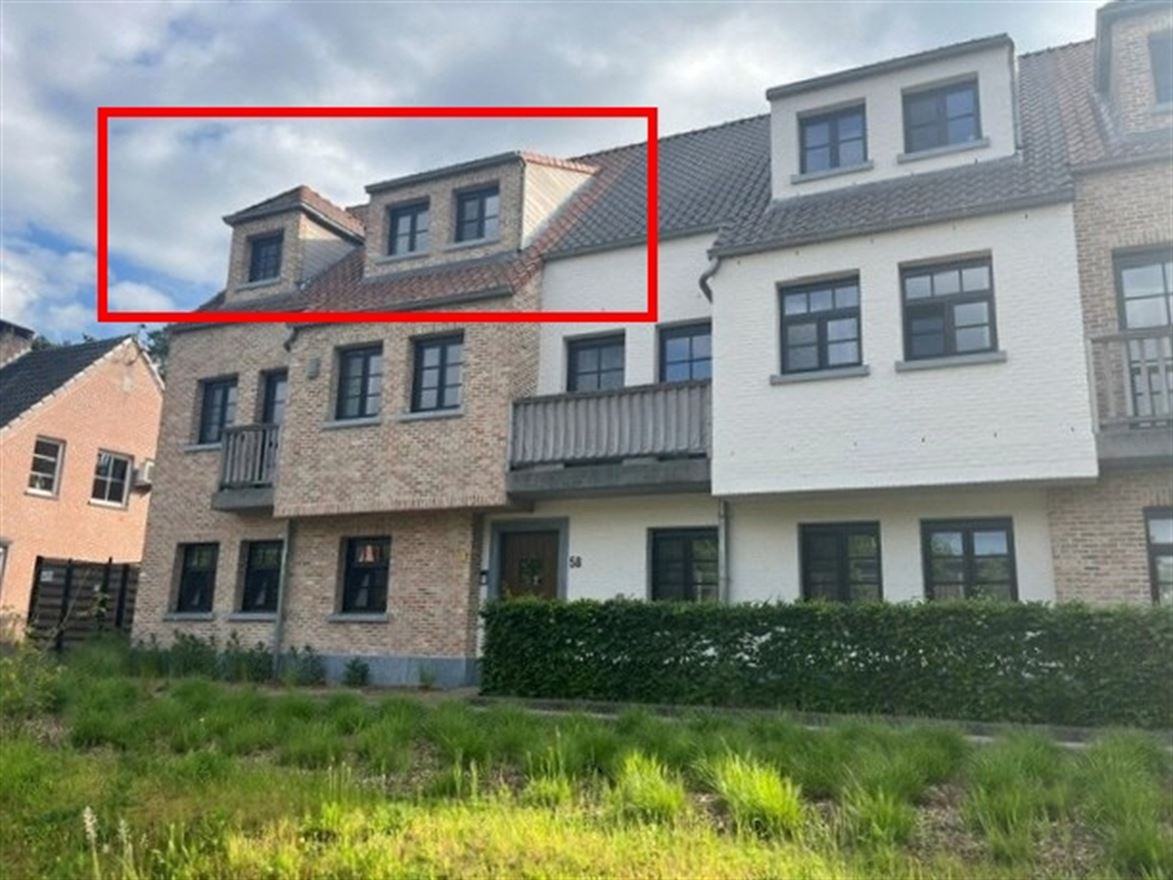 Appartement in Wechelderzande