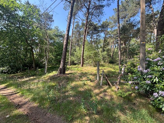 Grond in Meerhout