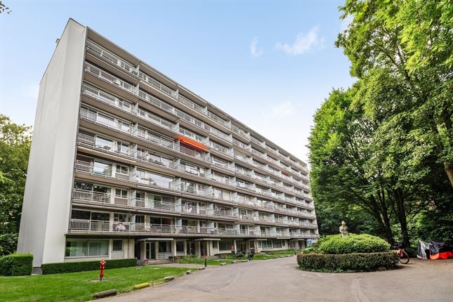 Appartement in Edegem