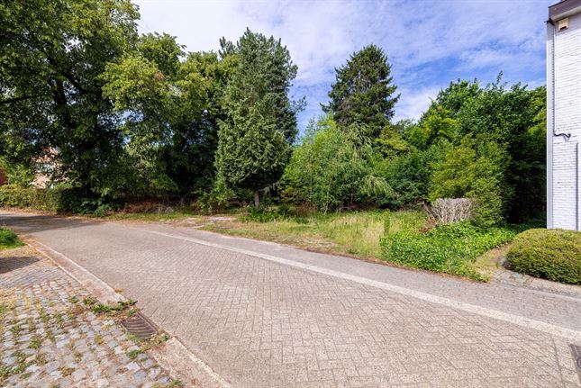 Grond in Herselt