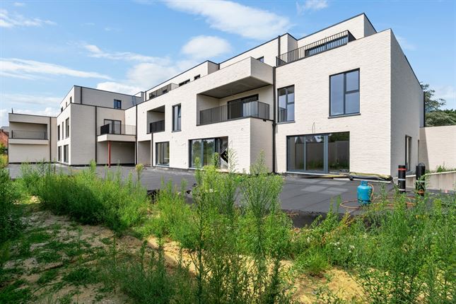 Appartement in Mol