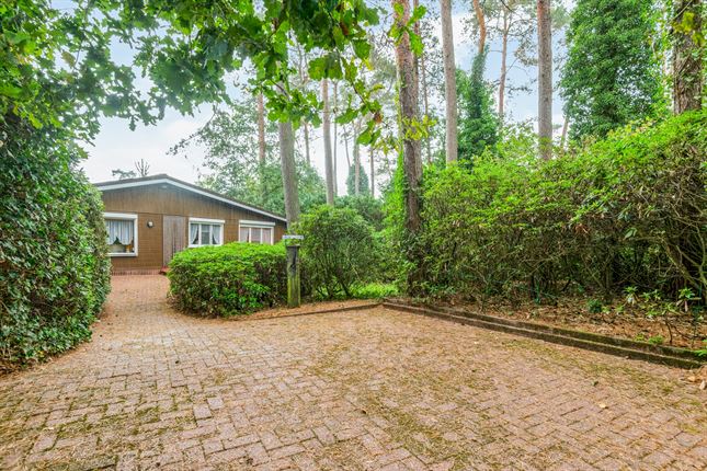 Huis in Wechelderzande