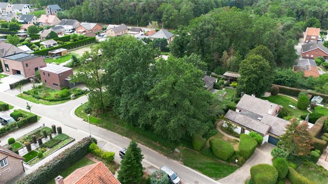 Grond in Tessenderlo-Ham