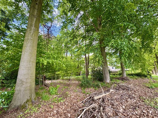 Grond in Brasschaat