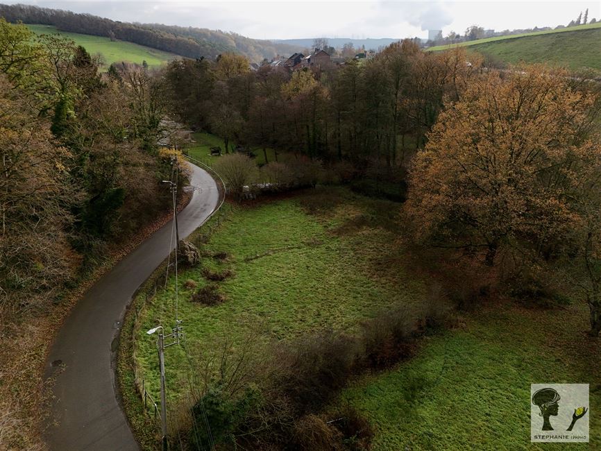 Terrain - À vendre - 4540 Ampsin