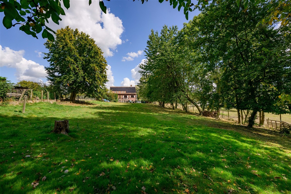Foto 1 : Huis te 9660 NEDERBRAKEL (België) - Prijs € 550.000