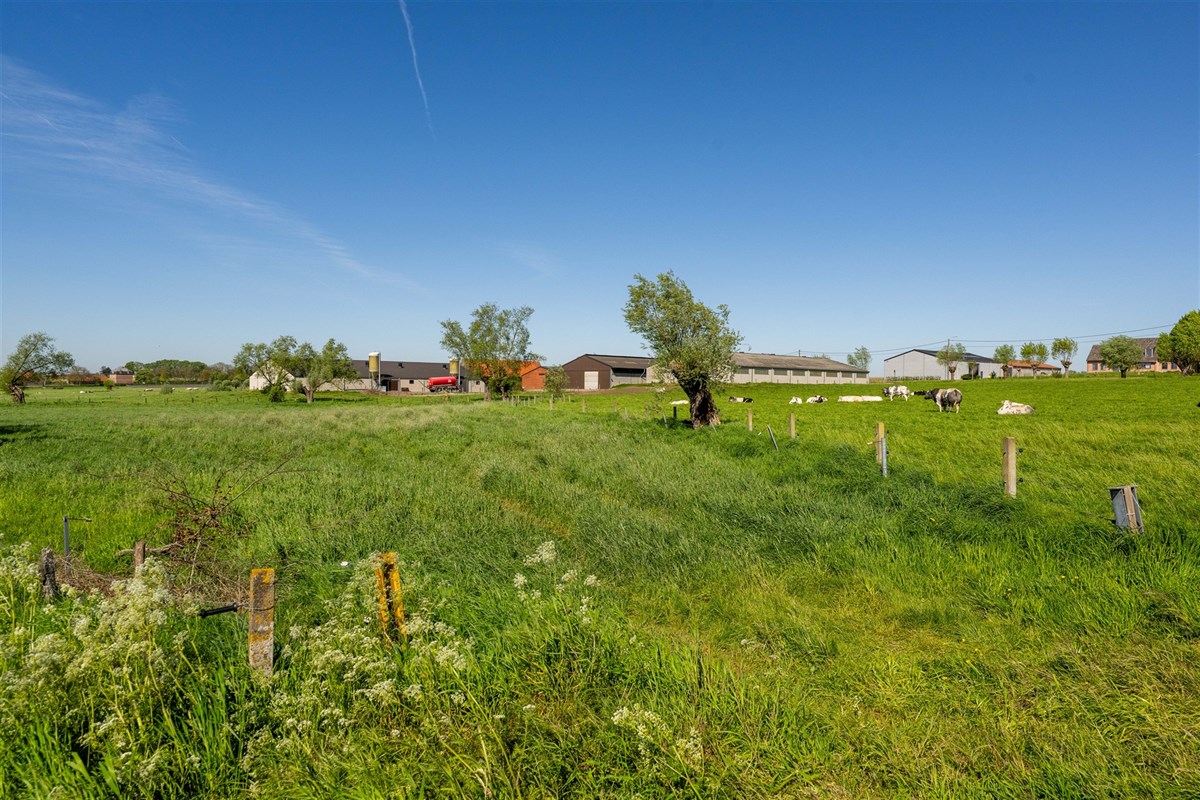 Foto 1 : Landbouwgrond te 8700 Tielt (België) - Prijs &euro; 45.000