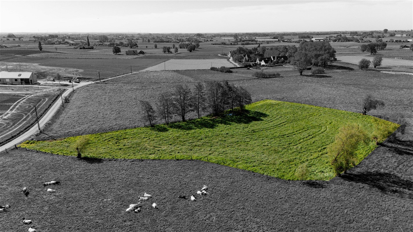 Foto 1 : Landbouwgrond te 8700 Tielt (België) - Prijs &euro; 45.000