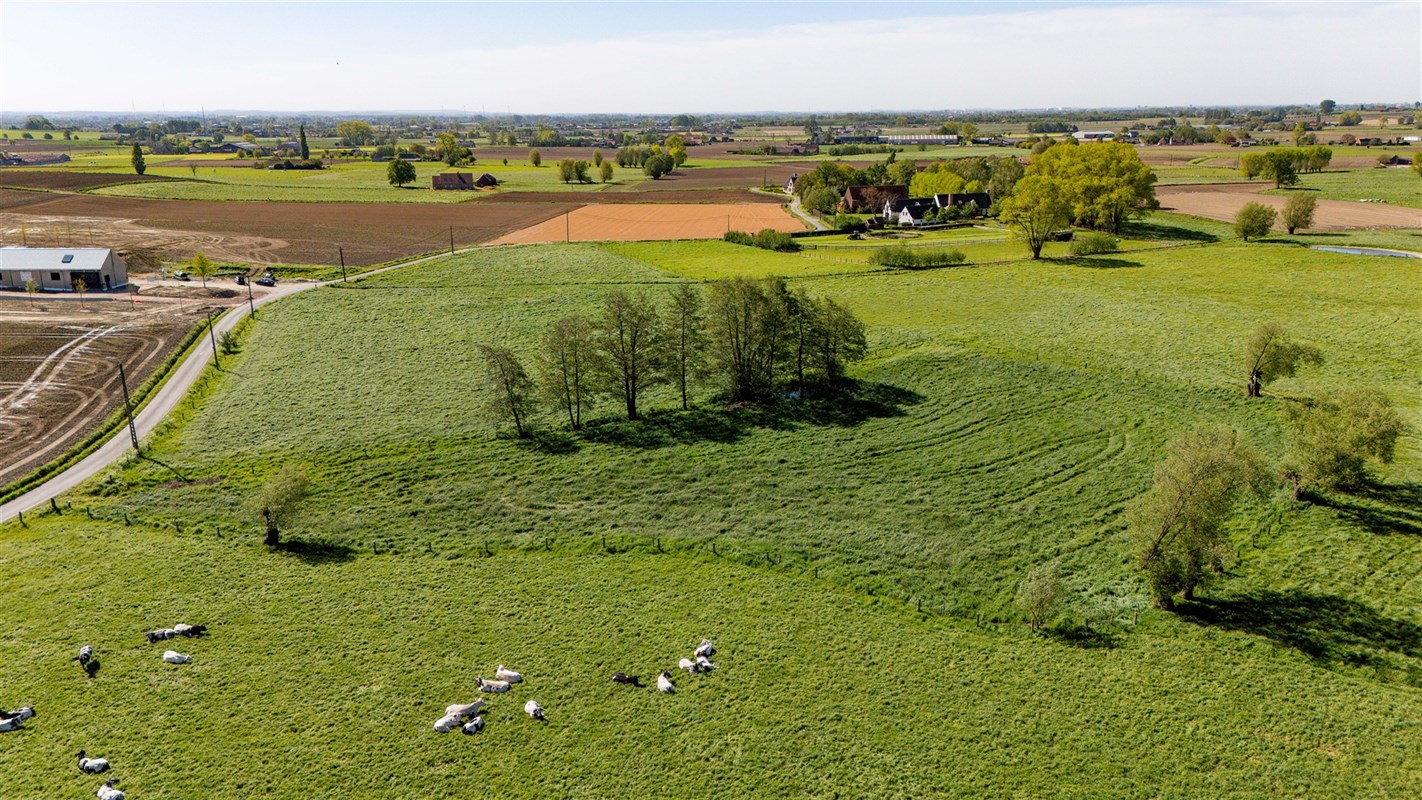 Foto 1 : Landbouwgrond te 8700 Tielt (België) - Prijs &euro; 45.000