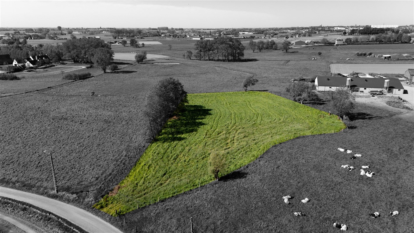 Foto 1 : Landbouwgrond te 8700 Tielt (België) - Prijs &euro; 45.000