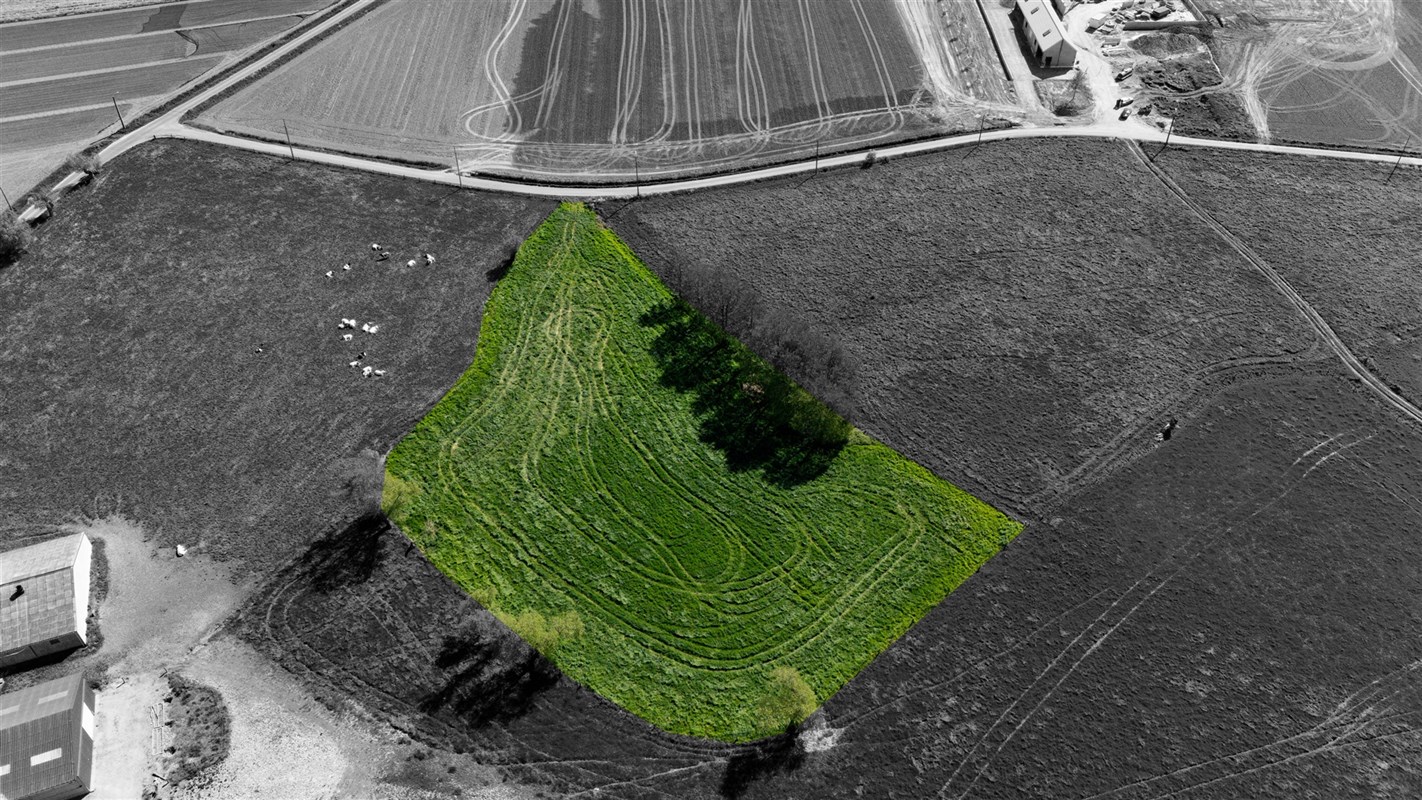 Foto 1 : Landbouwgrond te 8700 Tielt (België) - Prijs &euro; 45.000