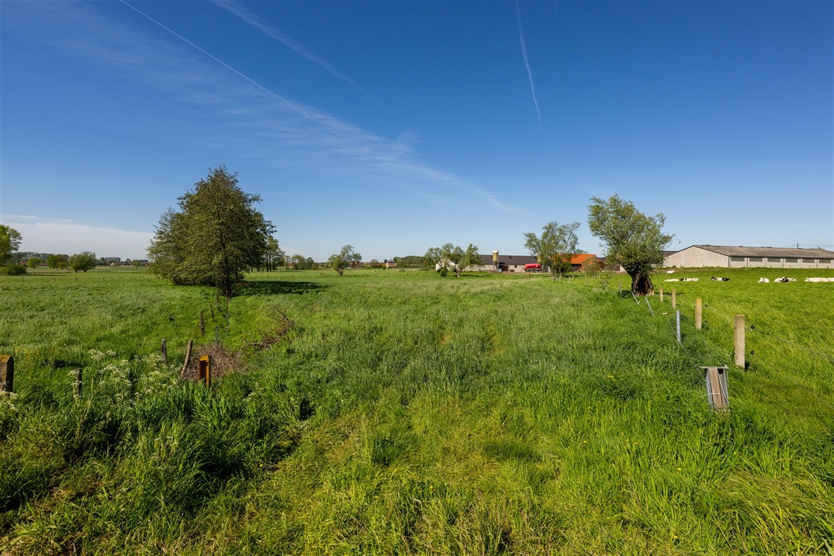 Foto 1 : Landbouwgrond te 8700 Tielt (België) - Prijs &euro; 45.000