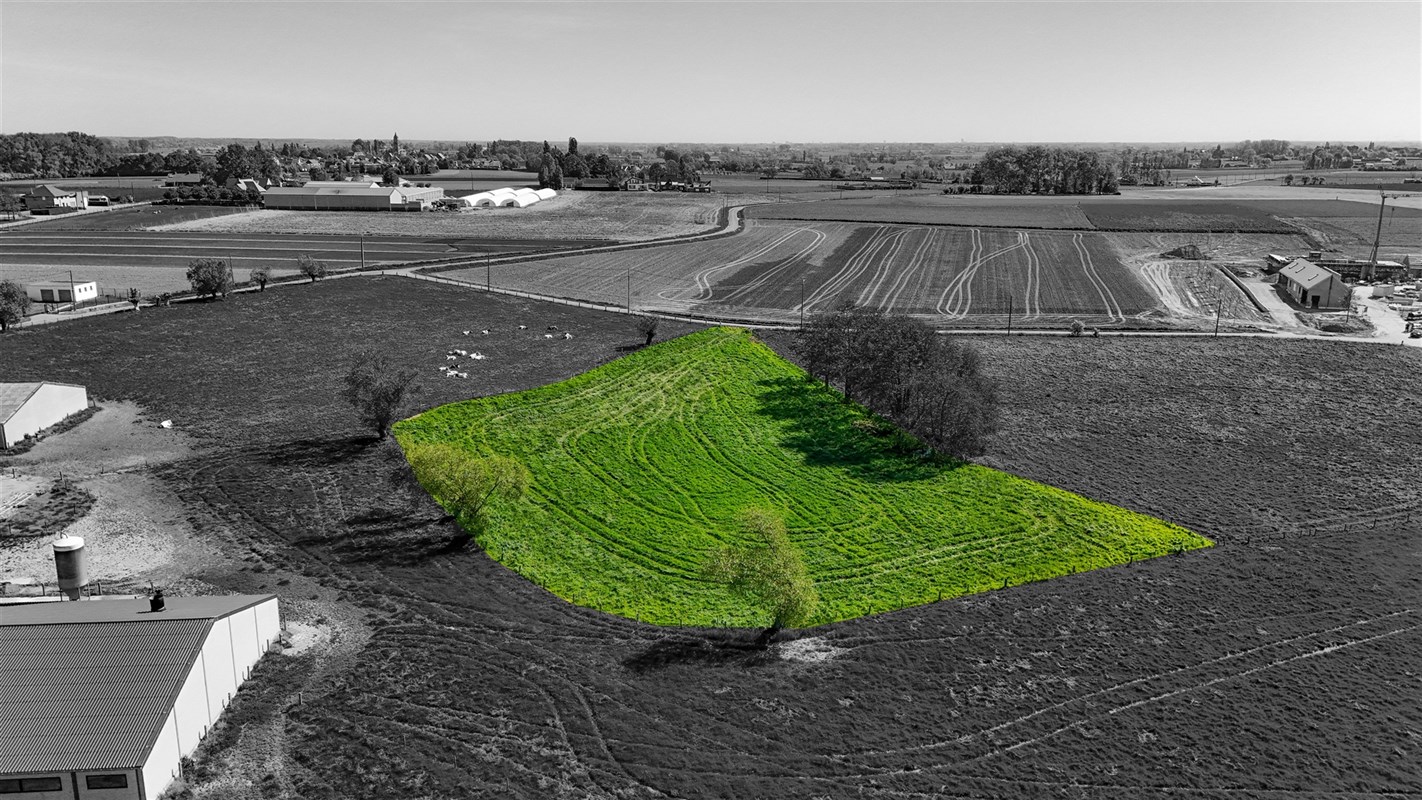 Foto 1 : Landbouwgrond te 8700 Tielt (België) - Prijs &euro; 45.000