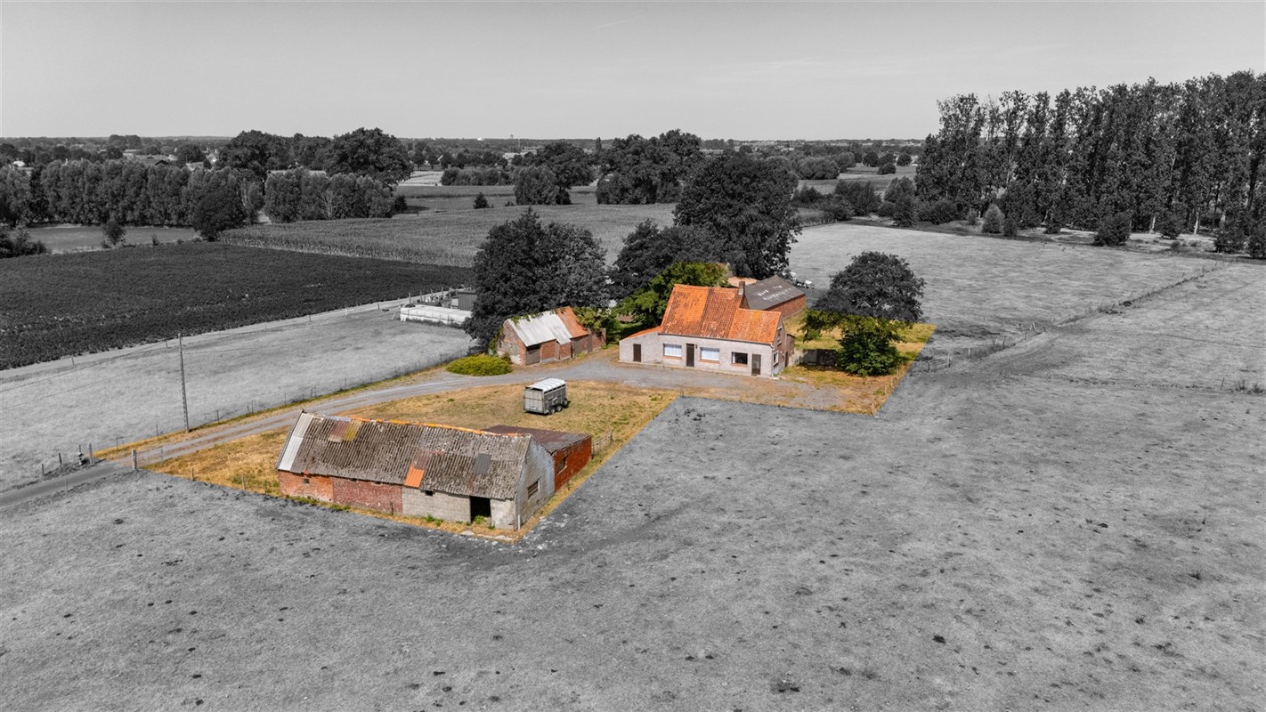 Foto 1 : Landelijke woning te 8750 Zwevezele (België) - Prijs &euro; 389.000