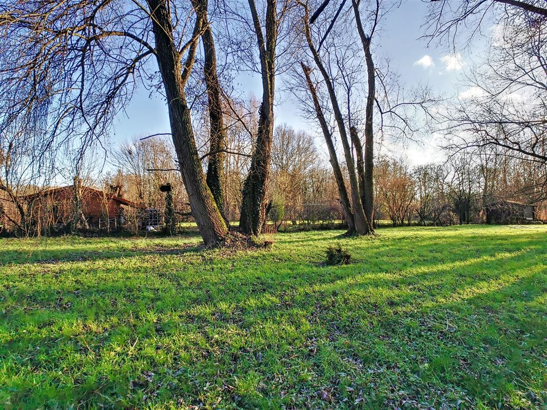 Image 3 : Maison à 1320 TOURINNES-LA-GROSSE (Belgique) - Prix 395.000 €
