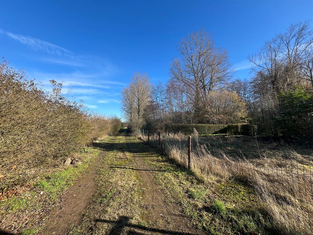 Bouwgrond voor een open bebouwing met zicht op de natuur
