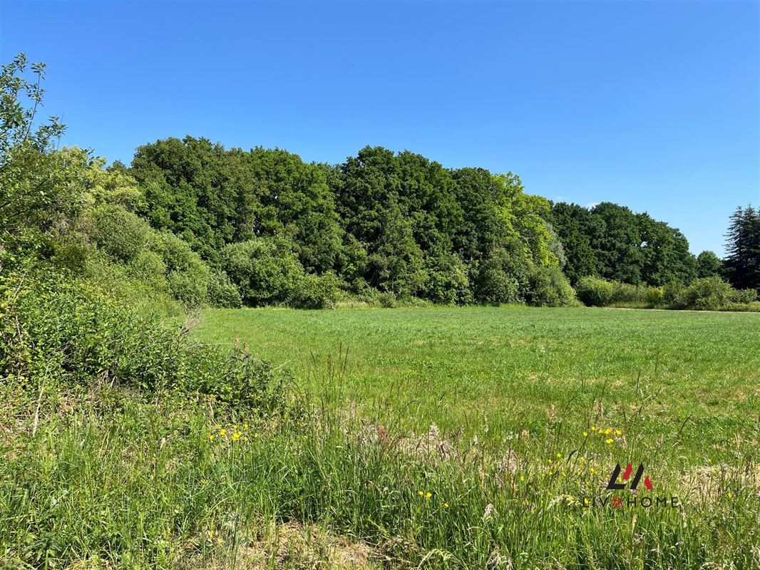 Foto 14 : Landelijke woning te 2500 LIER (België) - Prijs € 325.000