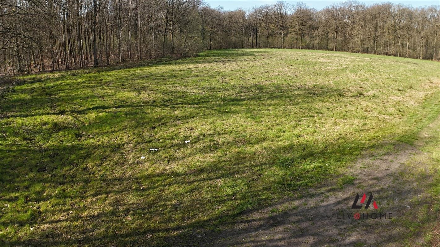 Foto 2 : Landbouwgrond te 2500 KONINGSHOOIKT (België) - Prijs € 97.000