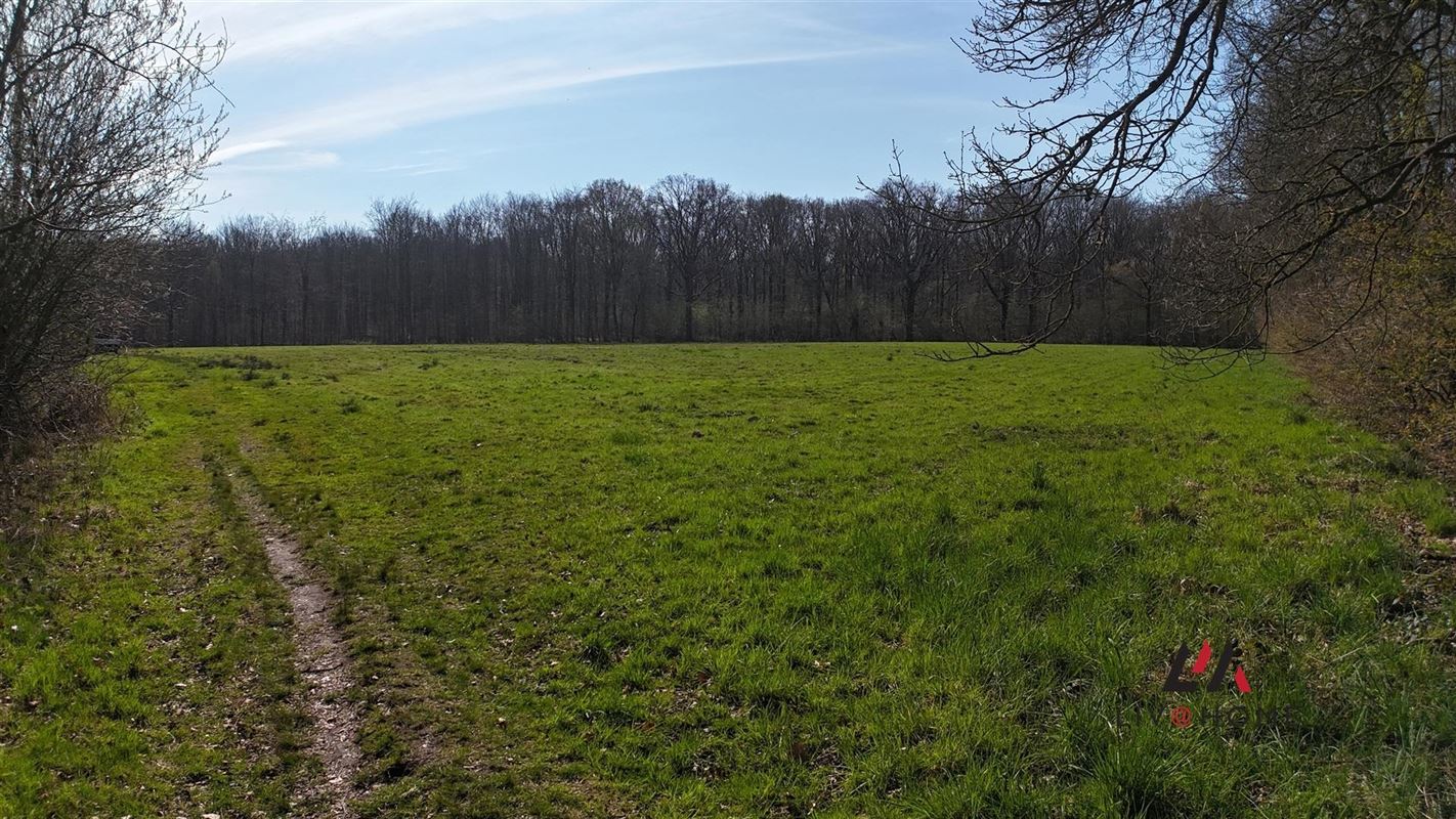 Foto 4 : Landbouwgrond te 2500 KONINGSHOOIKT (België) - Prijs € 97.000