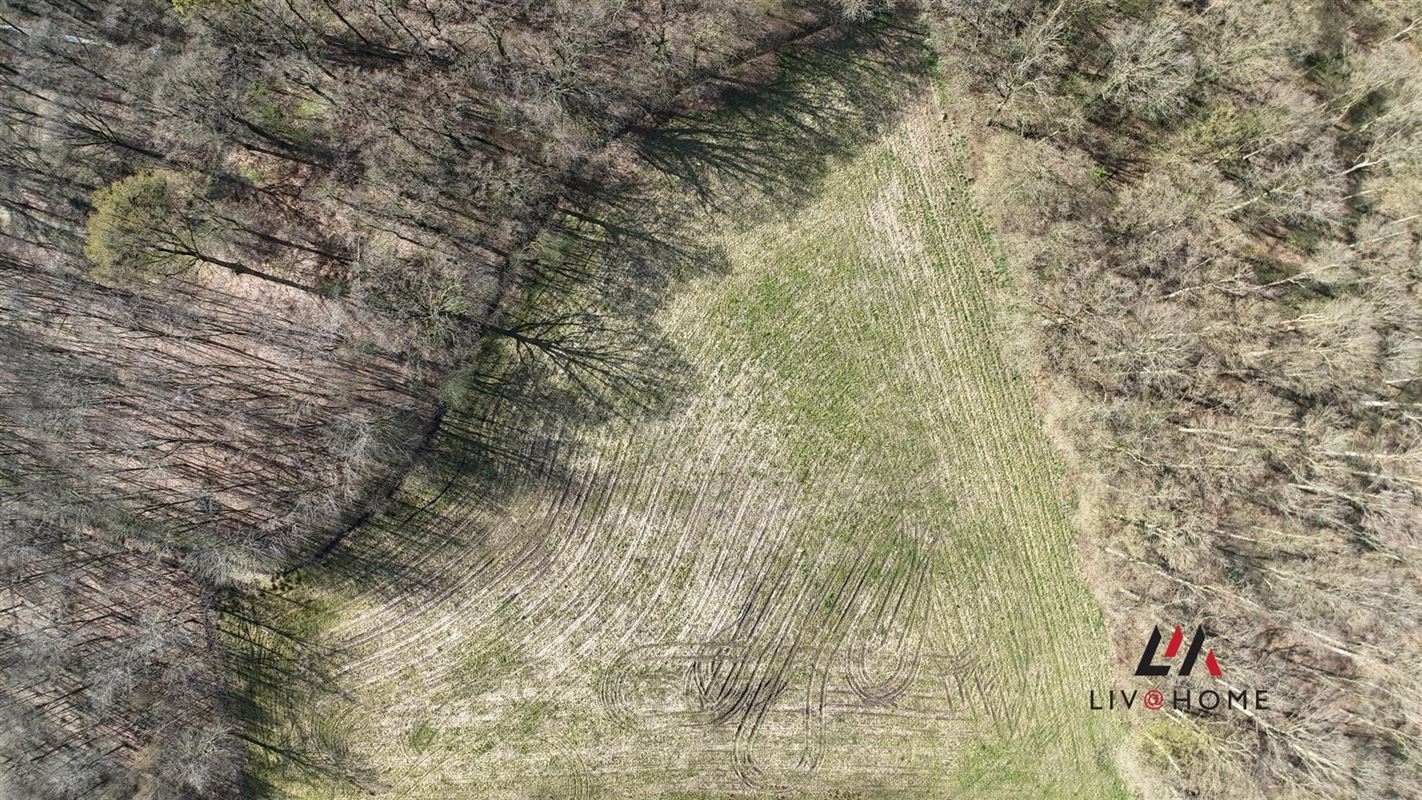 Foto 6 : Landbouwgrond te 2500 KONINGSHOOIKT (België) - Prijs € 97.000
