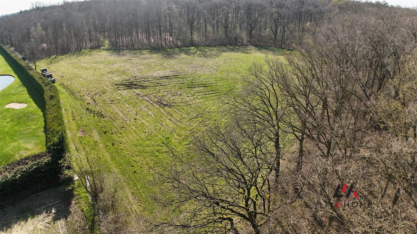Foto 5 : Landbouwgrond te 2500 KONINGSHOOIKT (België) - Prijs € 97.000