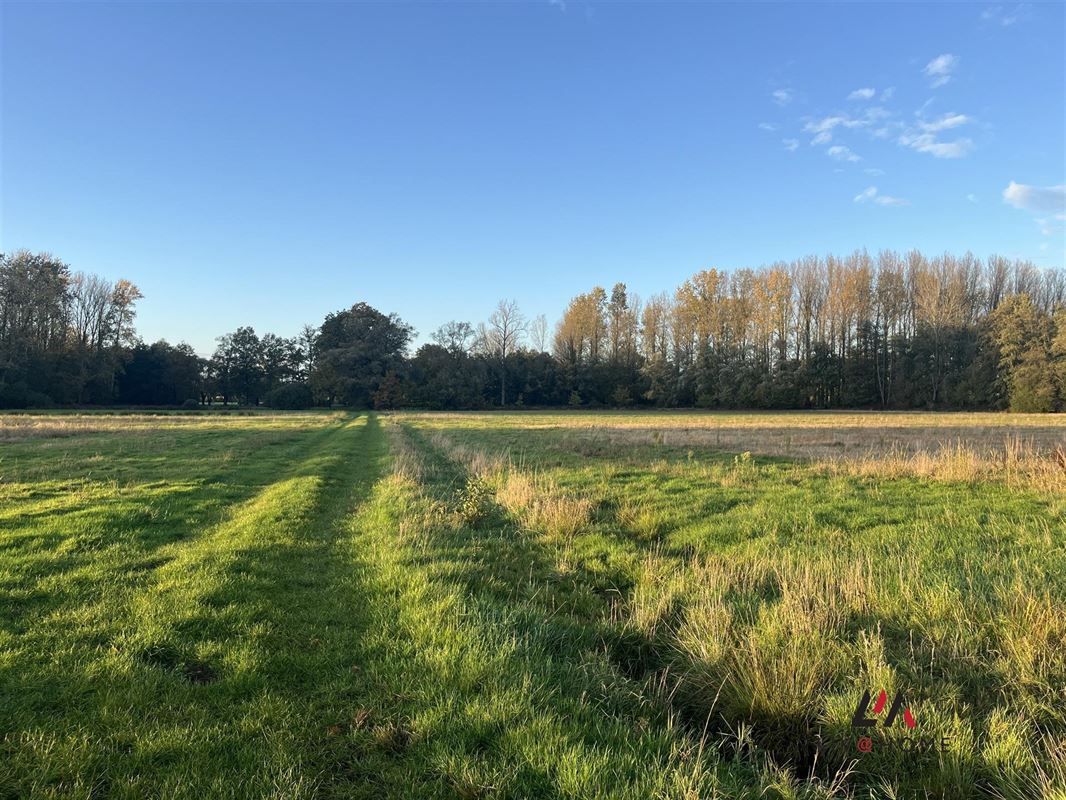 Foto 7 : Landbouwgrond te 2230 HERSELT (België) - Prijs € 173.500