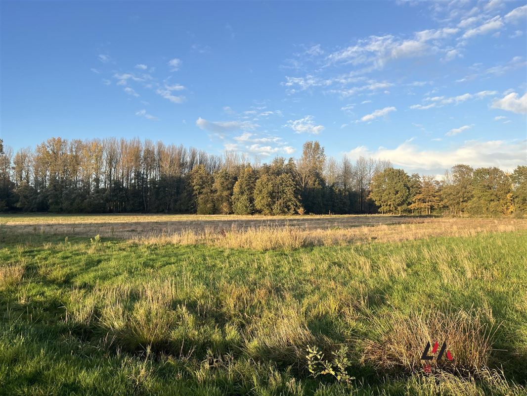 Foto 5 : Landbouwgrond te 2230 HERSELT (België) - Prijs € 173.500