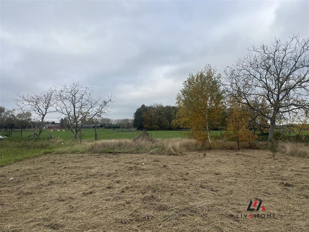 Foto 3 : Bouwgrond HOB te 2580 PUTTE (België) - Prijs € 189.000