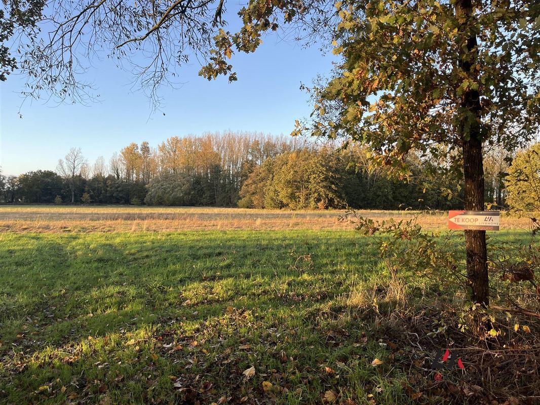 Foto 3 : Landbouwgrond te 2230 HERSELT (België) - Prijs € 173.500