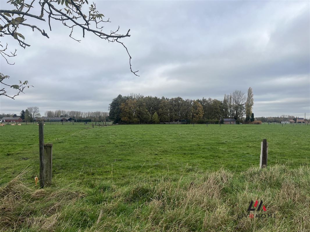 Foto 4 : Bouwgrond HOB te 2580 PUTTE (België) - Prijs € 189.000