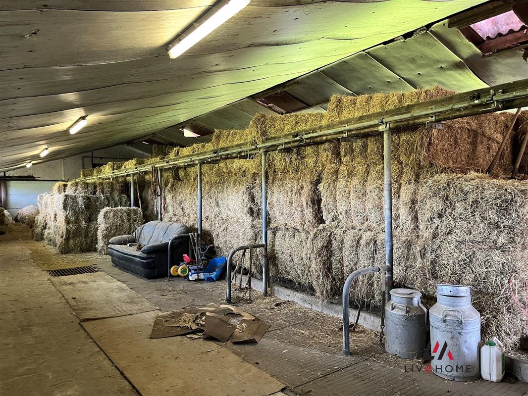 Foto 12 : Landelijke woning te 2580 PUTTE (België) - Prijs € 695.000