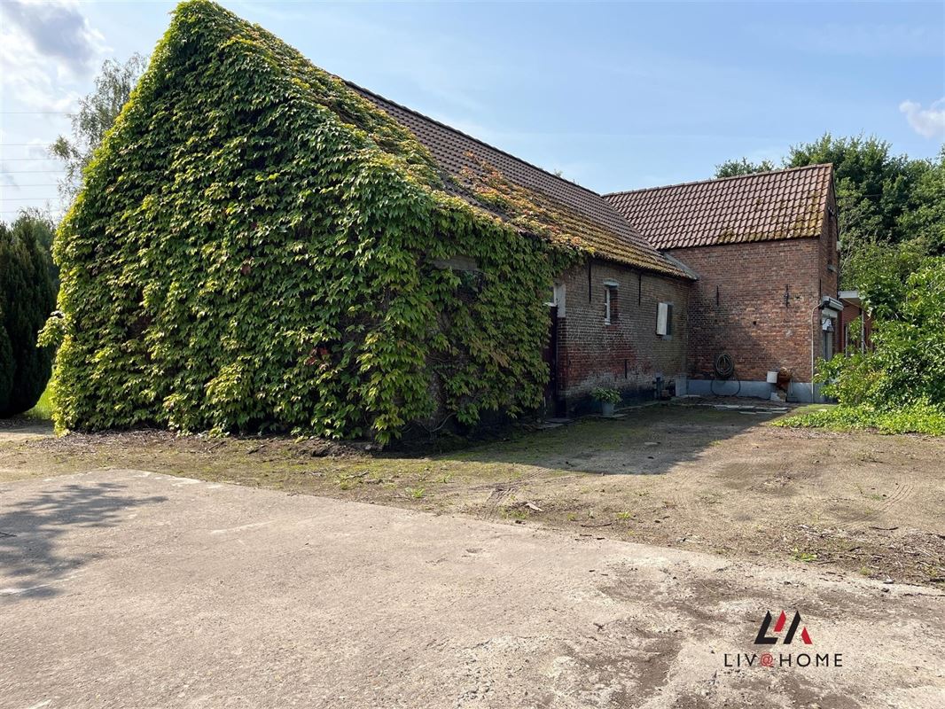 Foto 4 : Landelijke woning te 2580 PUTTE (België) - Prijs € 695.000