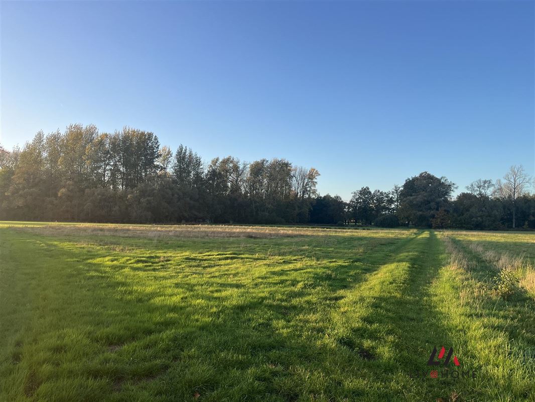 Foto 6 : Landbouwgrond te 2230 HERSELT (België) - Prijs € 173.500