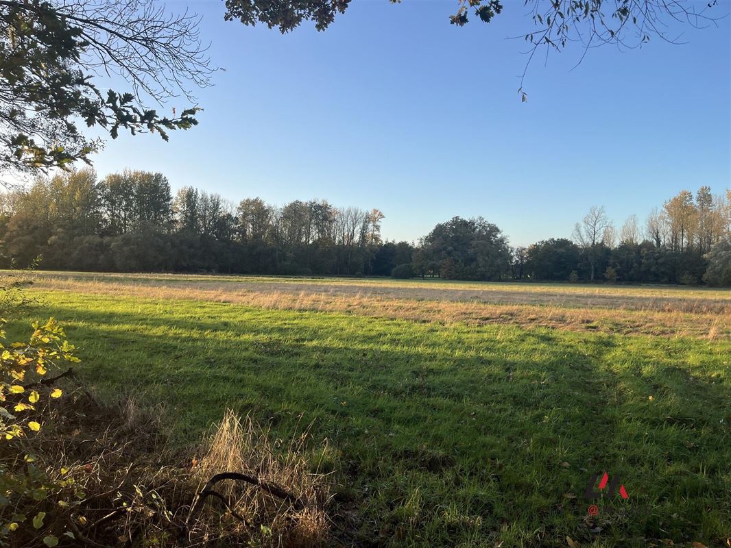 Foto 4 : Landbouwgrond te 2230 HERSELT (België) - Prijs € 173.500