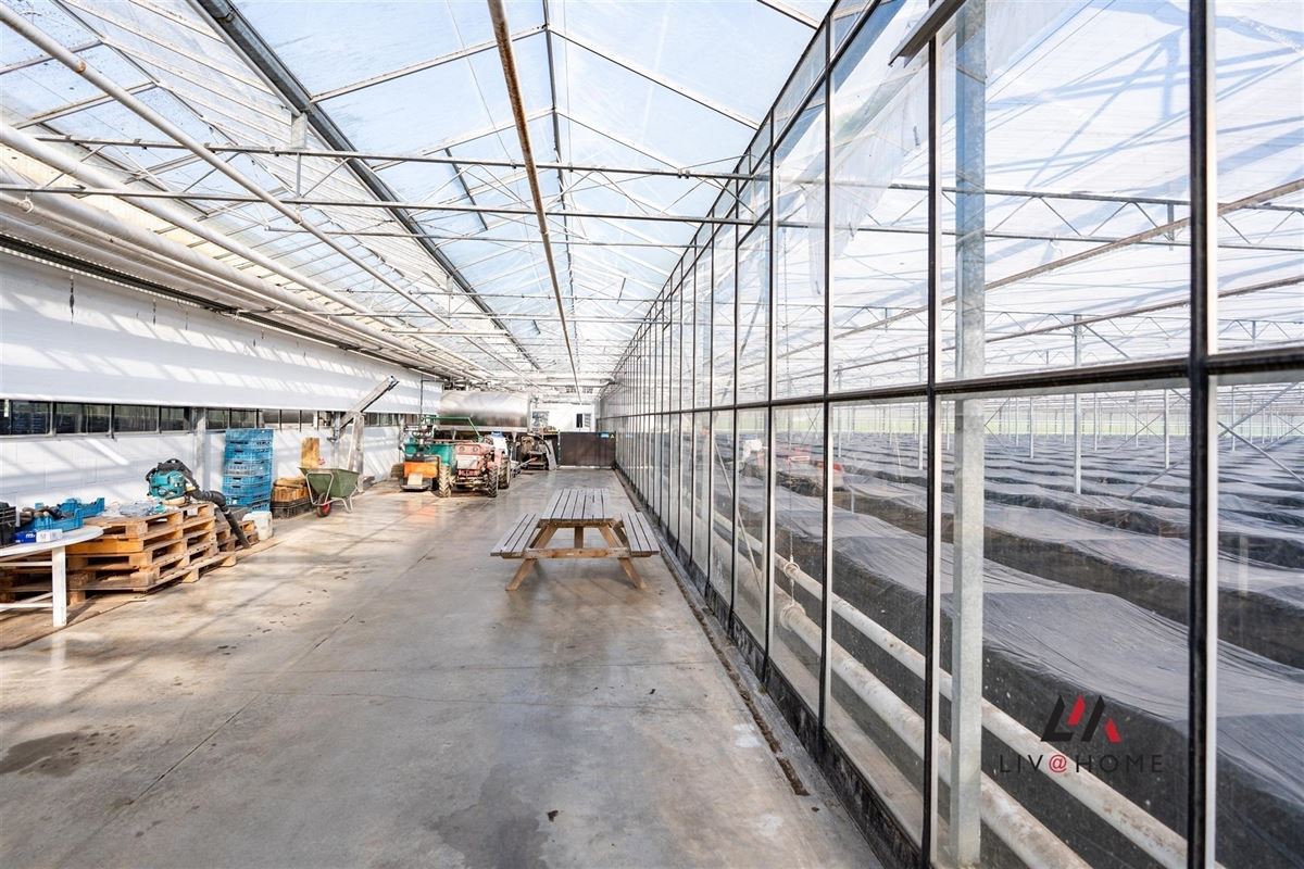 Foto 28 : Landelijke woning te 2500 KONINGSHOOIKT (België) - Prijs € 1.250.000