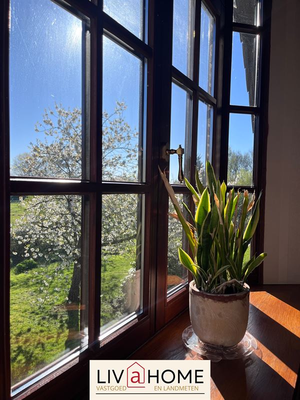 Foto 25 : Landelijke woning te 2580 PUTTE (België) - Prijs &euro; 470.000