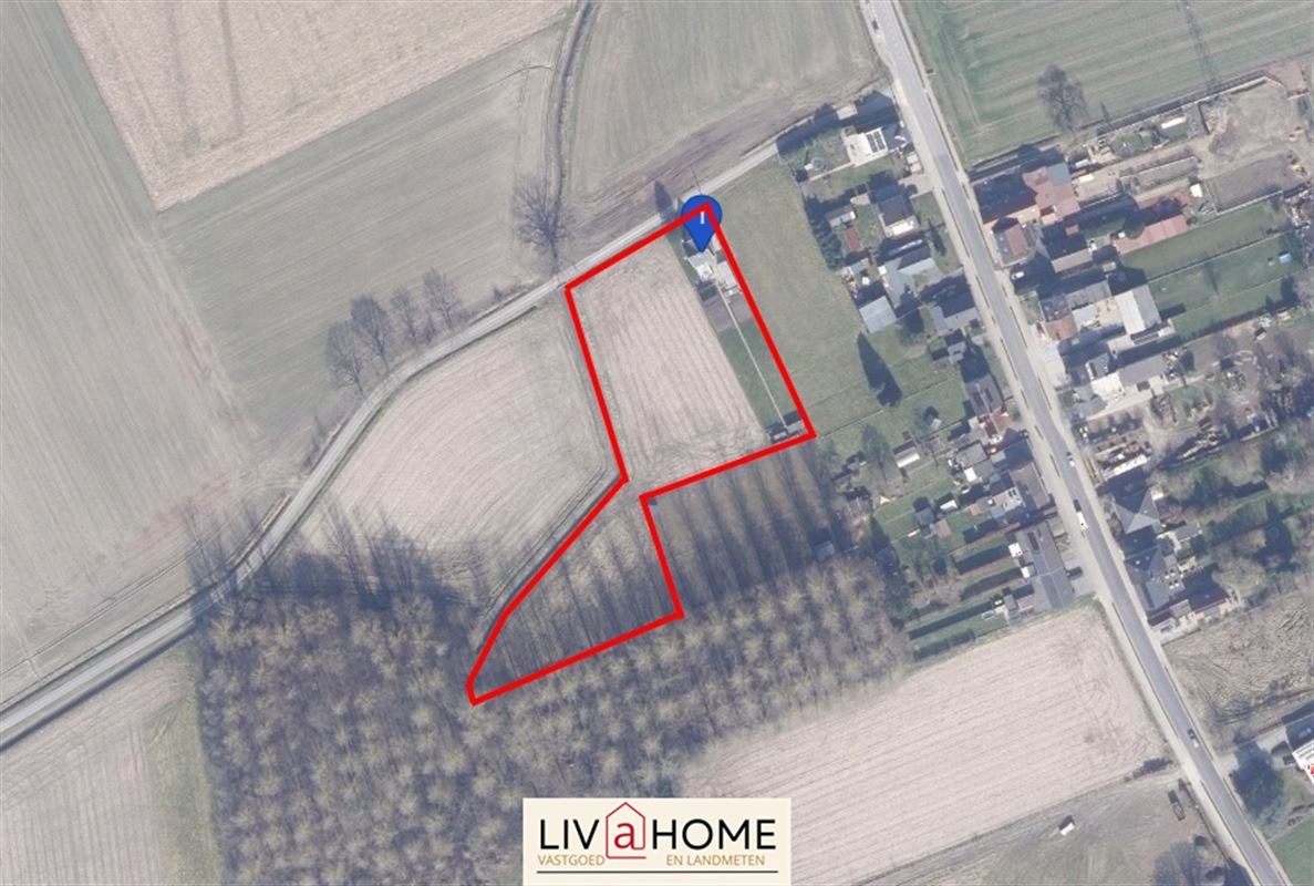 Image 29 : Maison à 3150 TILDONK (Belgique) - Prix 350.000 &euro;