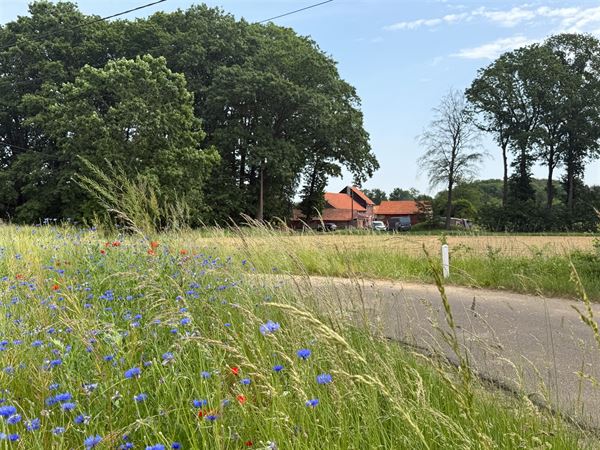Farmhouse IN 3220 HOLSBEEK (Belgium) - Price 625.000 &euro;