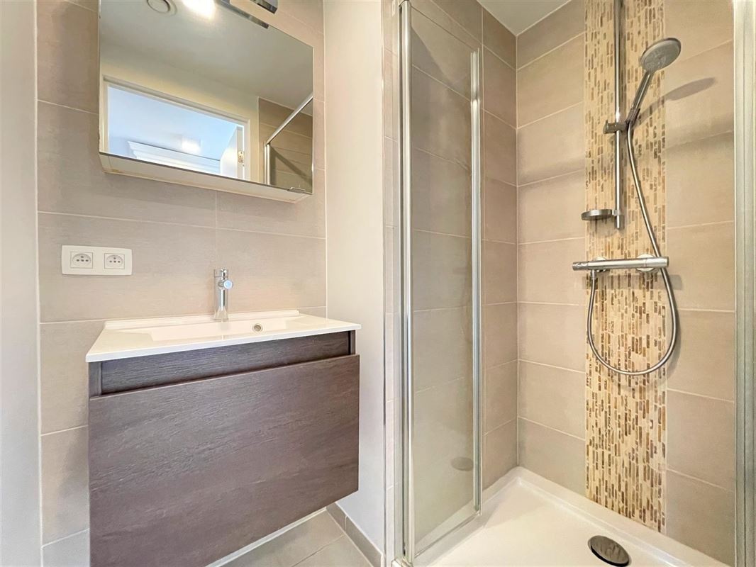 Magnifique appartement avec une vaste terrasse