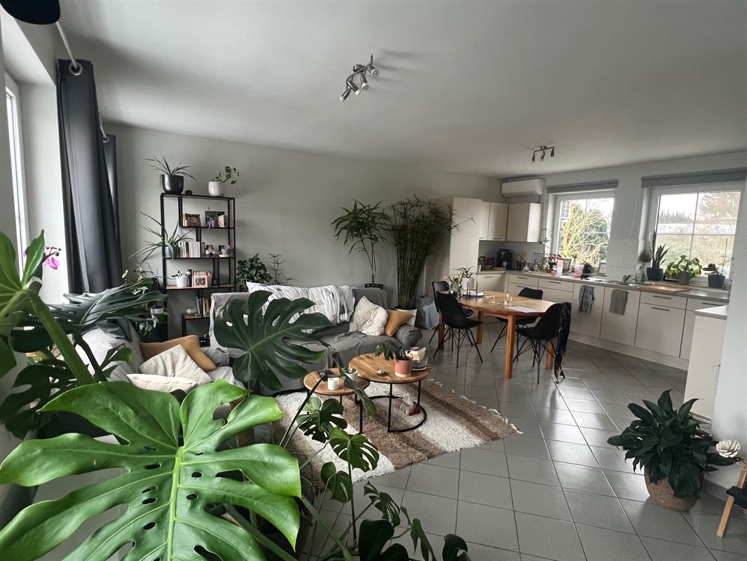 Appartement une chambre d'environ 75M2