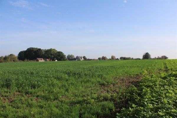 Belle opportunité : Magnifique terrain