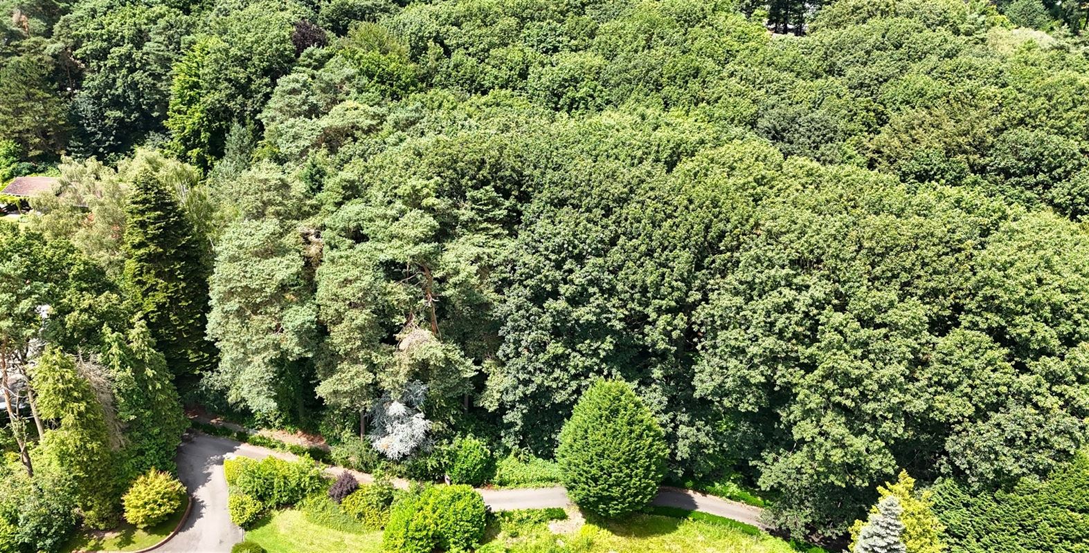 Magnifique terrain boisé dans un "clos privatif"