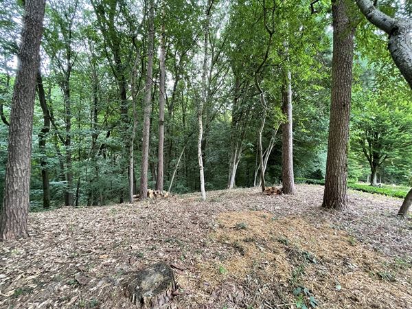 Magnifique terrain boisé dans un "clos privatif"