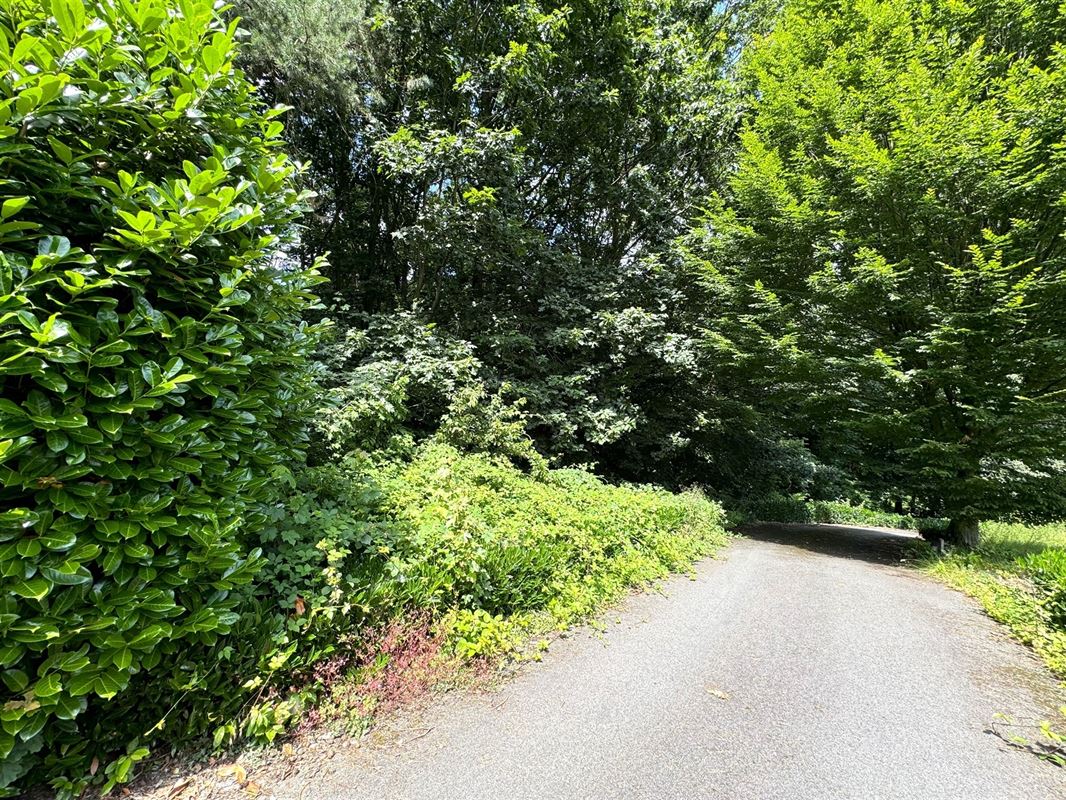 Magnifique terrain boisé dans un "clos privatif"