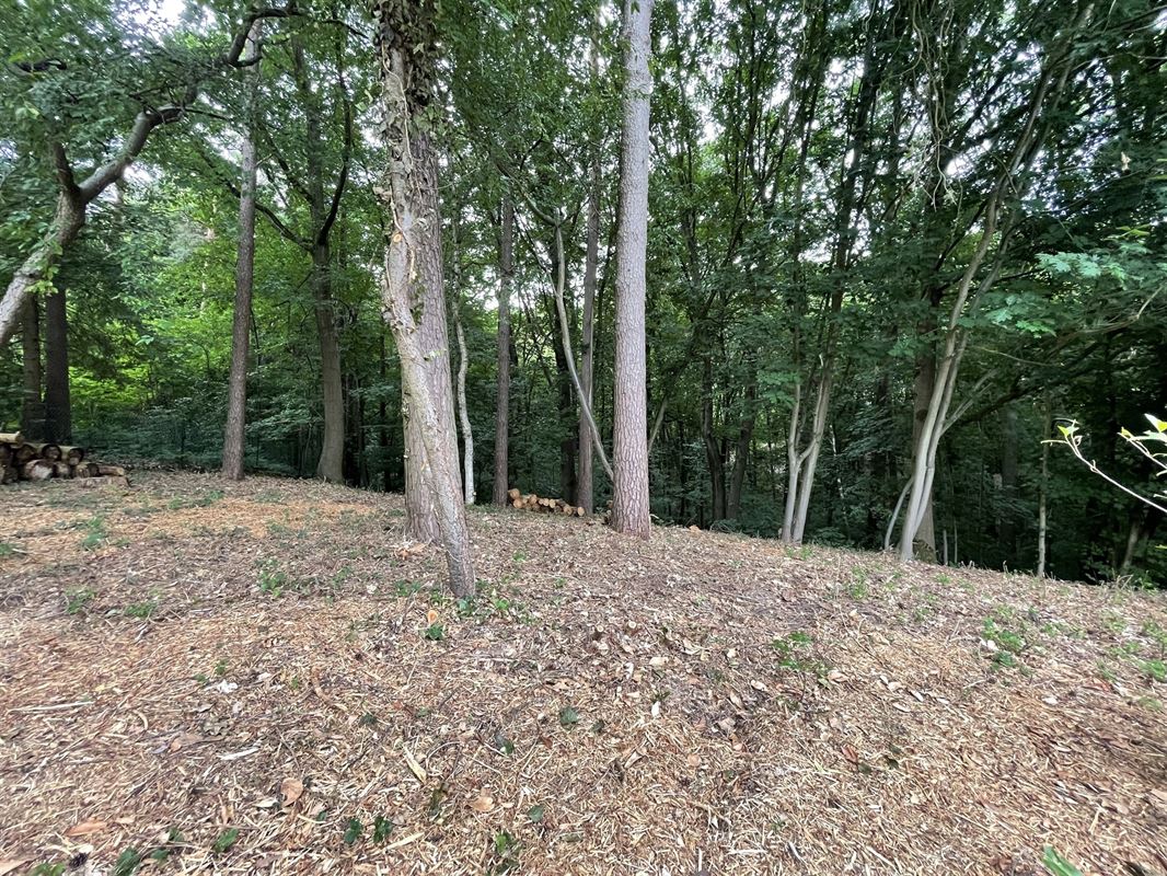 Magnifique terrain boisé dans un "clos privatif"