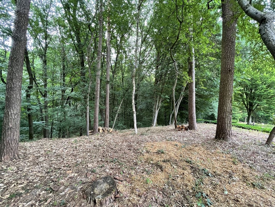Magnifique terrain boisé dans un "clos privatif"